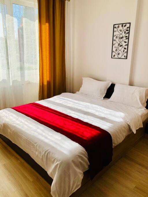 Joy City Stay Victoriei 7G-9 Timişoara Buitenkant foto