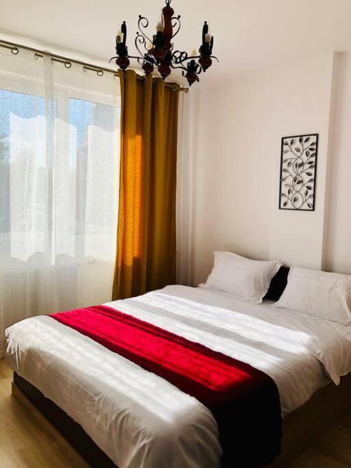 Joy City Stay Victoriei 7G-9 Timişoara Buitenkant foto
