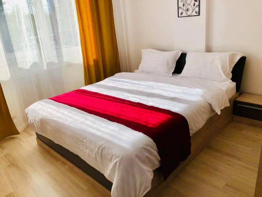 Joy City Stay Victoriei 7G-9 Timişoara Buitenkant foto