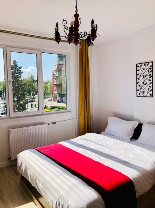Joy City Stay Victoriei 7G-9 Timişoara Buitenkant foto